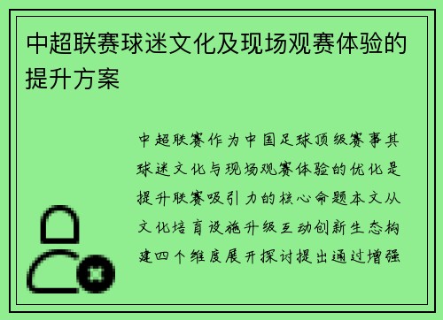中超联赛球迷文化及现场观赛体验的提升方案